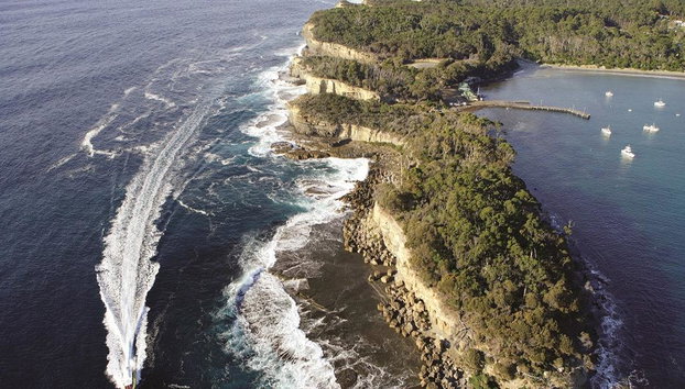 Crucero a la isla Tasman - Foto 3